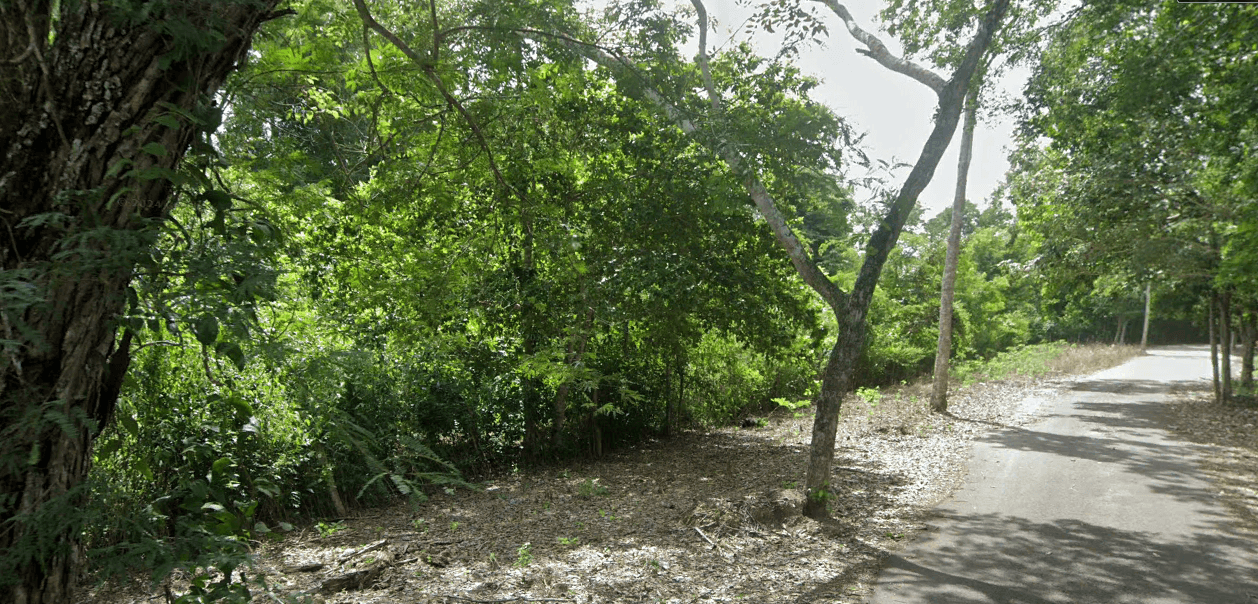 Terreno en venta en Xul Há, Quintana Roo, fotografía 3