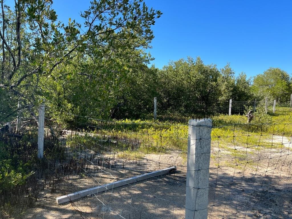 2 Terrenos en venta en Centro de Holbox, Quintana Roo, fotografía 2