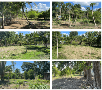 2 Terreno en venta en Centro Chiquila, Quintana Roo, fotografía 4