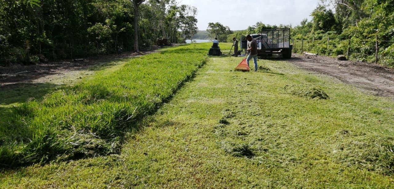 Terreno en venta en Xul-Há, Quintana Roo, fotografía 2