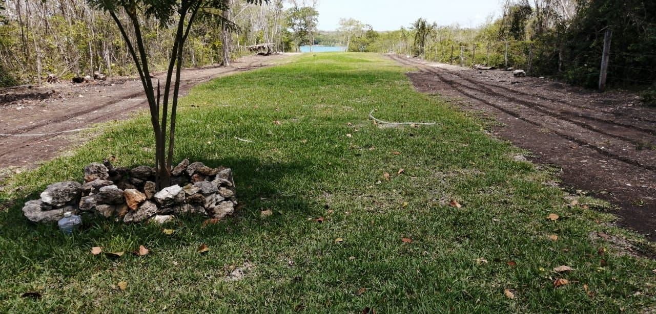 Terreno en venta en Xul-Há, Quintana Roo, fotografía 4