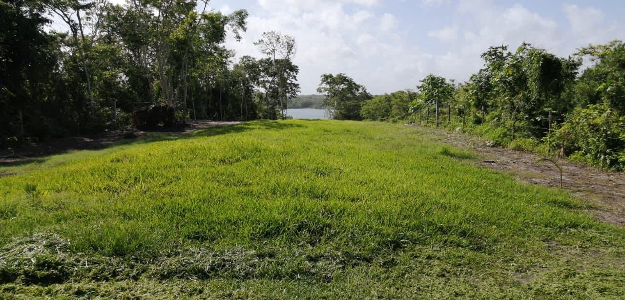 Terreno en venta en Xul-Há, Quintana Roo, fotografía 3