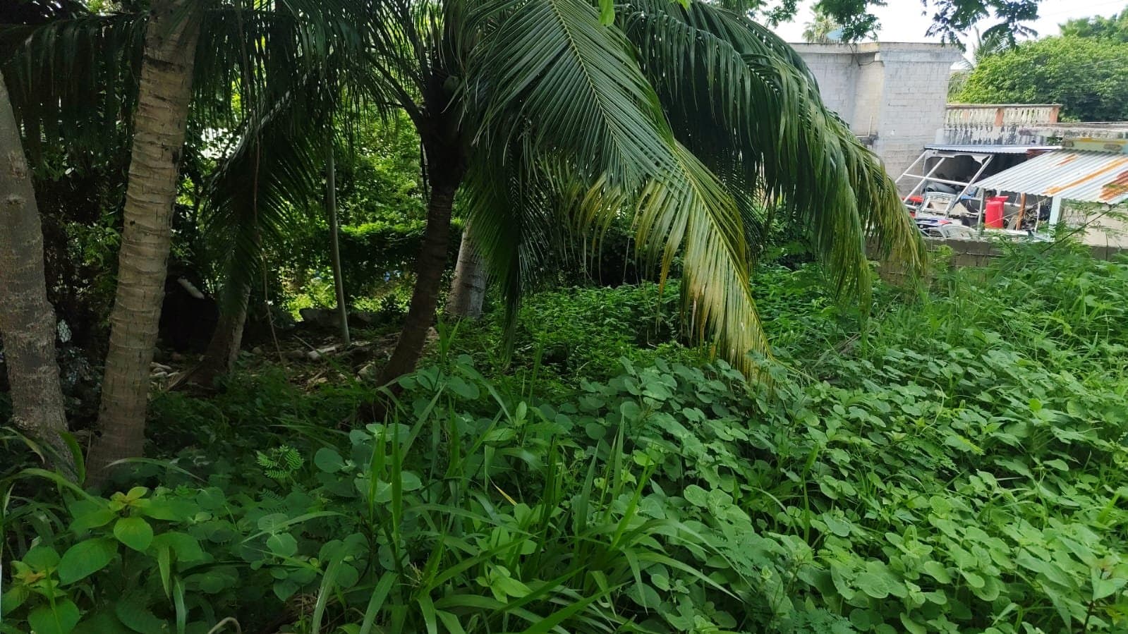 Casa en venta en Col. Adolfo López Mateos, Chetumal, fotografía 13